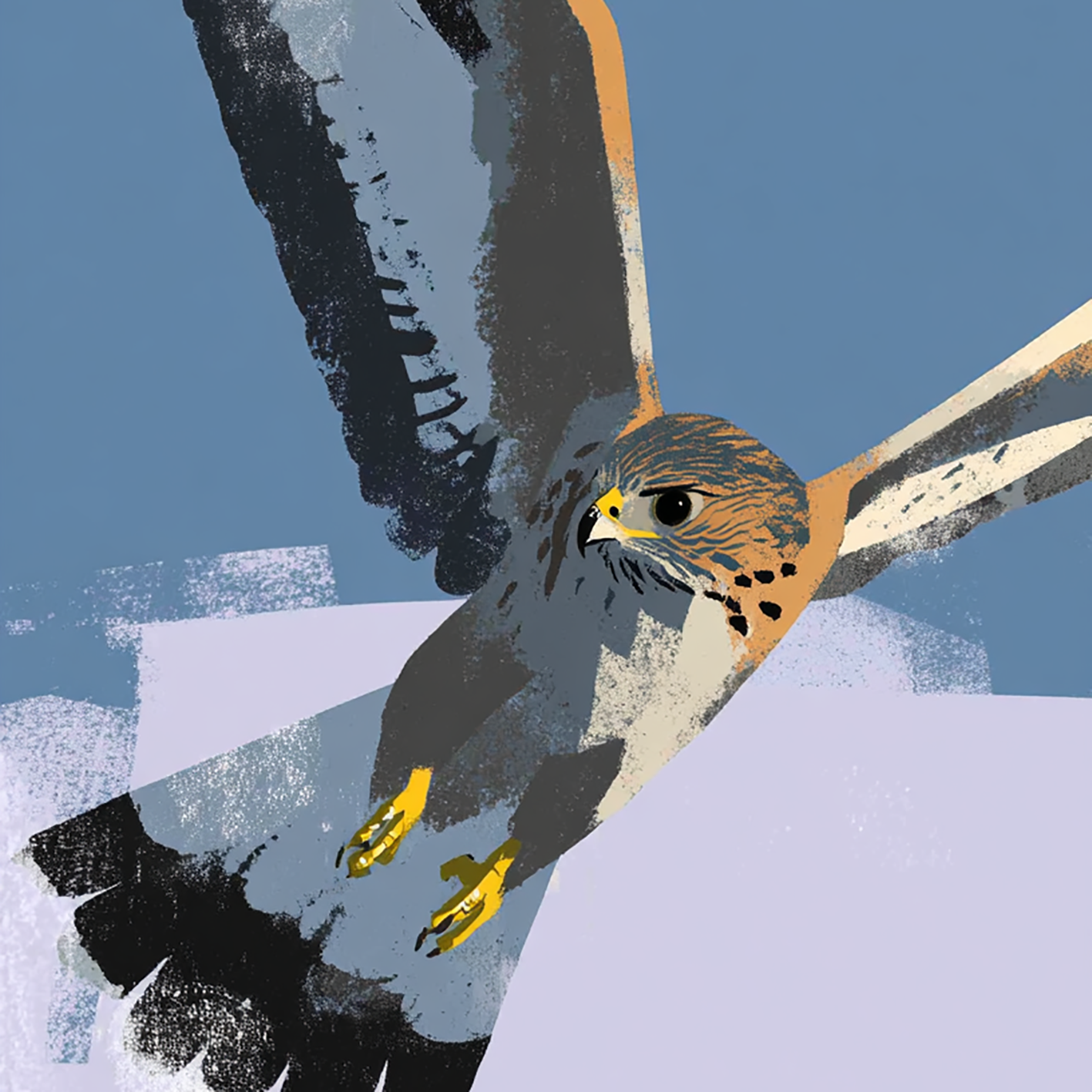 Falco