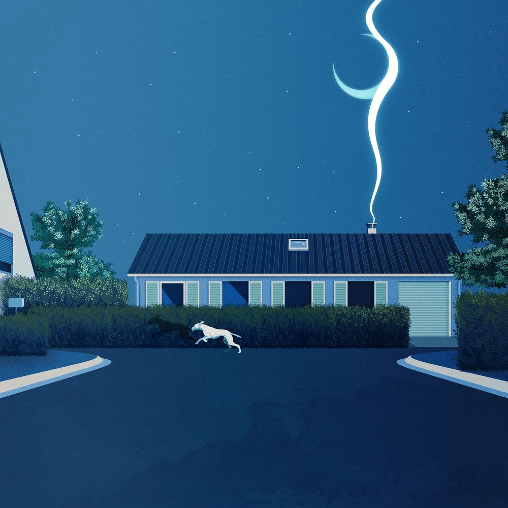 Dogman, stampa di Paolo Metaldi